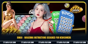 Bingo - Wagering Instructions Designed For Newcomers