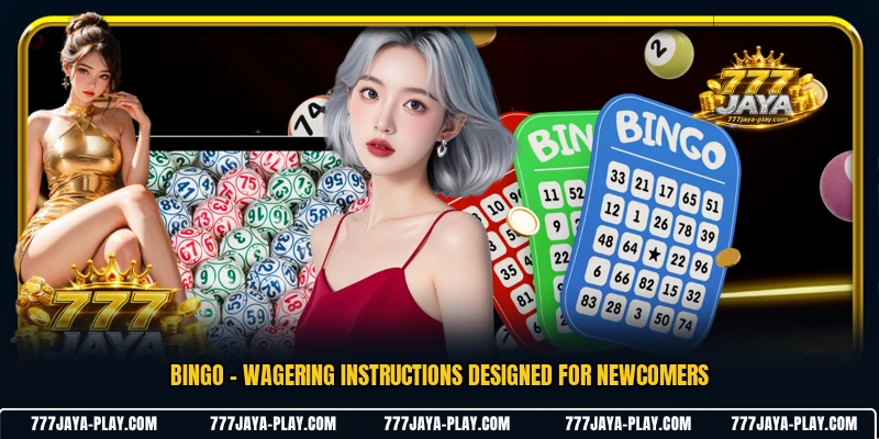 Bingo - Wagering Instructions Designed For Newcomers