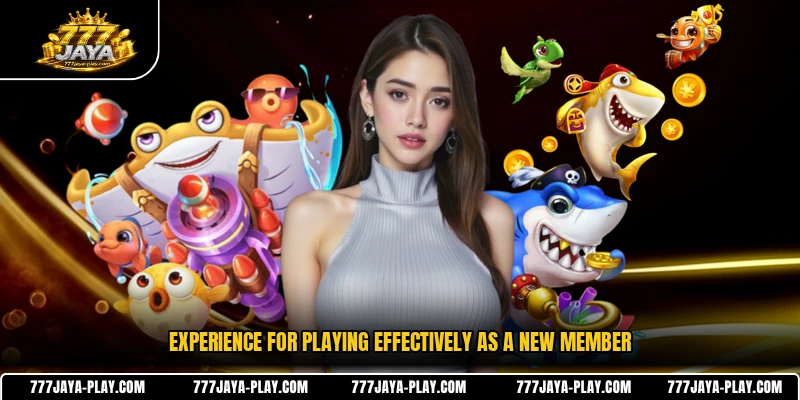 Experience for playing effectively as a new member