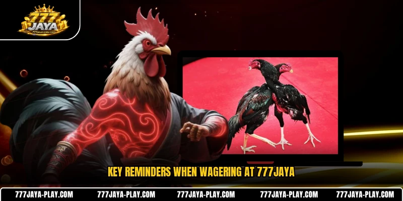 Key reminders when wagering at 777JAYA